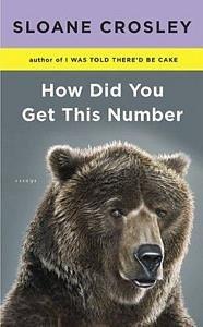 Book Review: How Did You Get This Number?