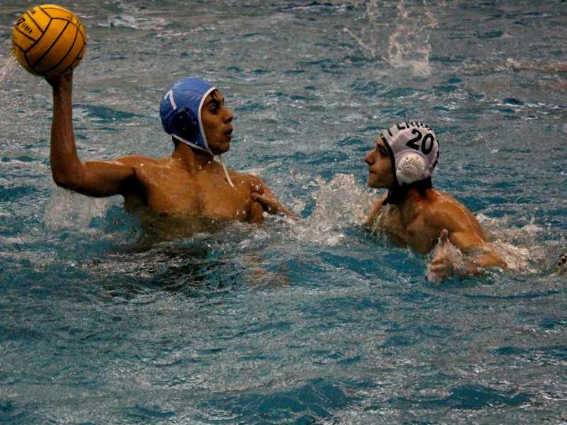 Strong efforts lead polo Knights past Rams 