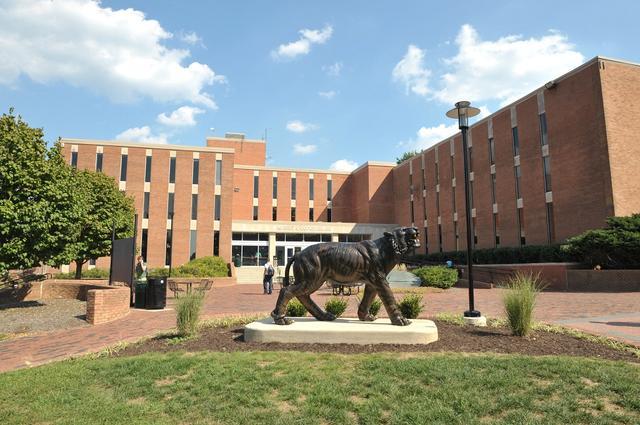 College Review: Towson University 