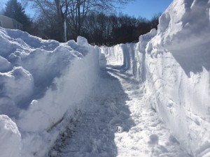 Tunnel of Snow: A sidewalk in the 1800 block of Rampart Ln. in Towamencin looked more like a walled corridor after neighbors cleared the snow.