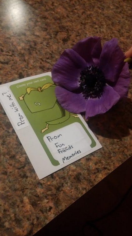 Tyler Pitis asked Kate Knab to this years senior prom via a game of Apples to Apples.