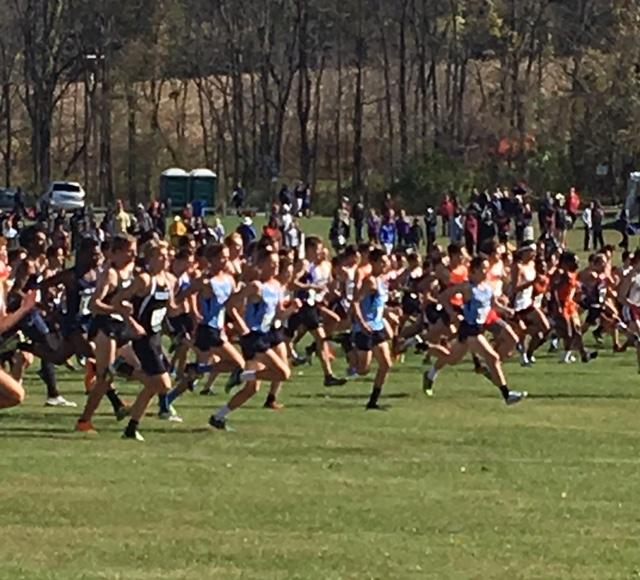 North Penn Boys Cross Country Team race to the front of the pack at the start.