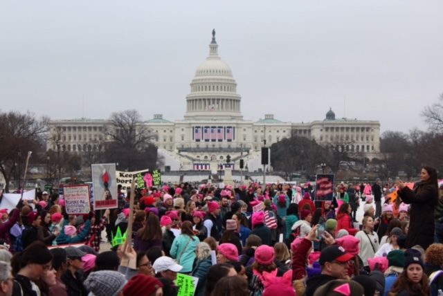 Protestors gather in Washington, D.C on January 21, 2017, the day after the inauguration of Donald Trump. Protests have long been part of the fabric of American democracy, and they continue to represent one part of what makes representative Democracy work.