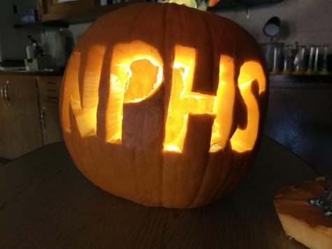 Marine and Botanical Society get in the spooky spirit at pumpkin carving party