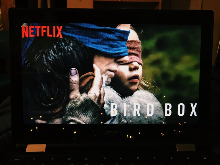 The Netflix original Bird Box is making headlines for its creative plot and significant message.