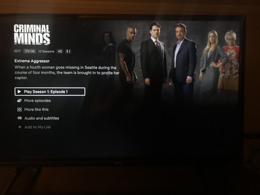 Now when I pull up Criminal Minds on Netflix to watch reruns, I will likely be teary-eyed. I am NOT accepting the fact that I have to say goodbye to this series!