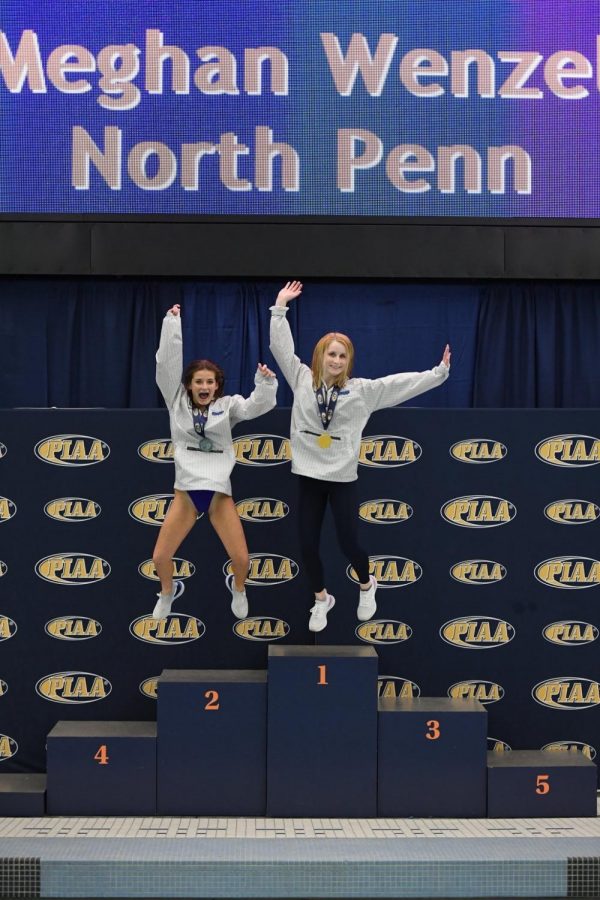 1&2 in the State: Meghan Wenzel (right) won first place in the state diving championship and Maddie Freece (left) was the runner up.