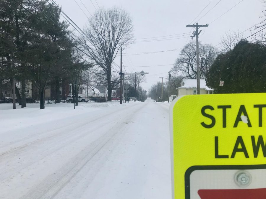 A desolate Whites Road...the sign of a true snow day.