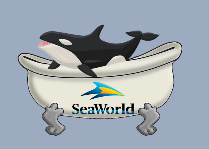 Staff+writer+Julia+Nardone+examines+the+treatment+of+orcas+at+SeaWorld.