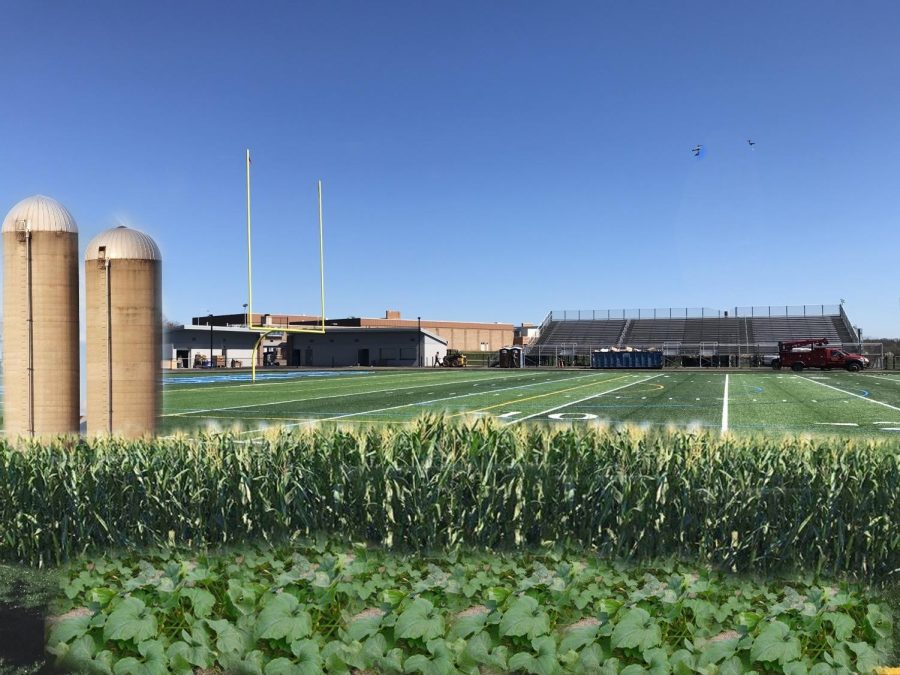 Turf not corny enough for new NPHS Agri-Culture