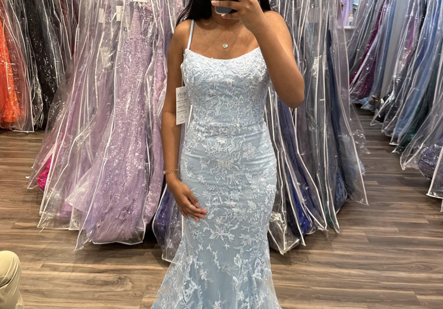 Nikki Sajja, stands showing off her dazzling senior prom dress while the variety of dresses at Country Bride and Gent sits behind her. 