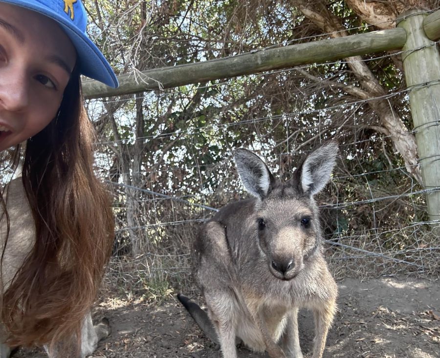 Bella+Mendez+jumping+around+with+some+Aussie+kangaroos.
