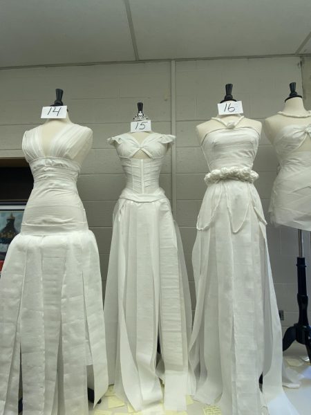 While these dresses may not look much different than any other dress, they are made out of a very unique type of material. 