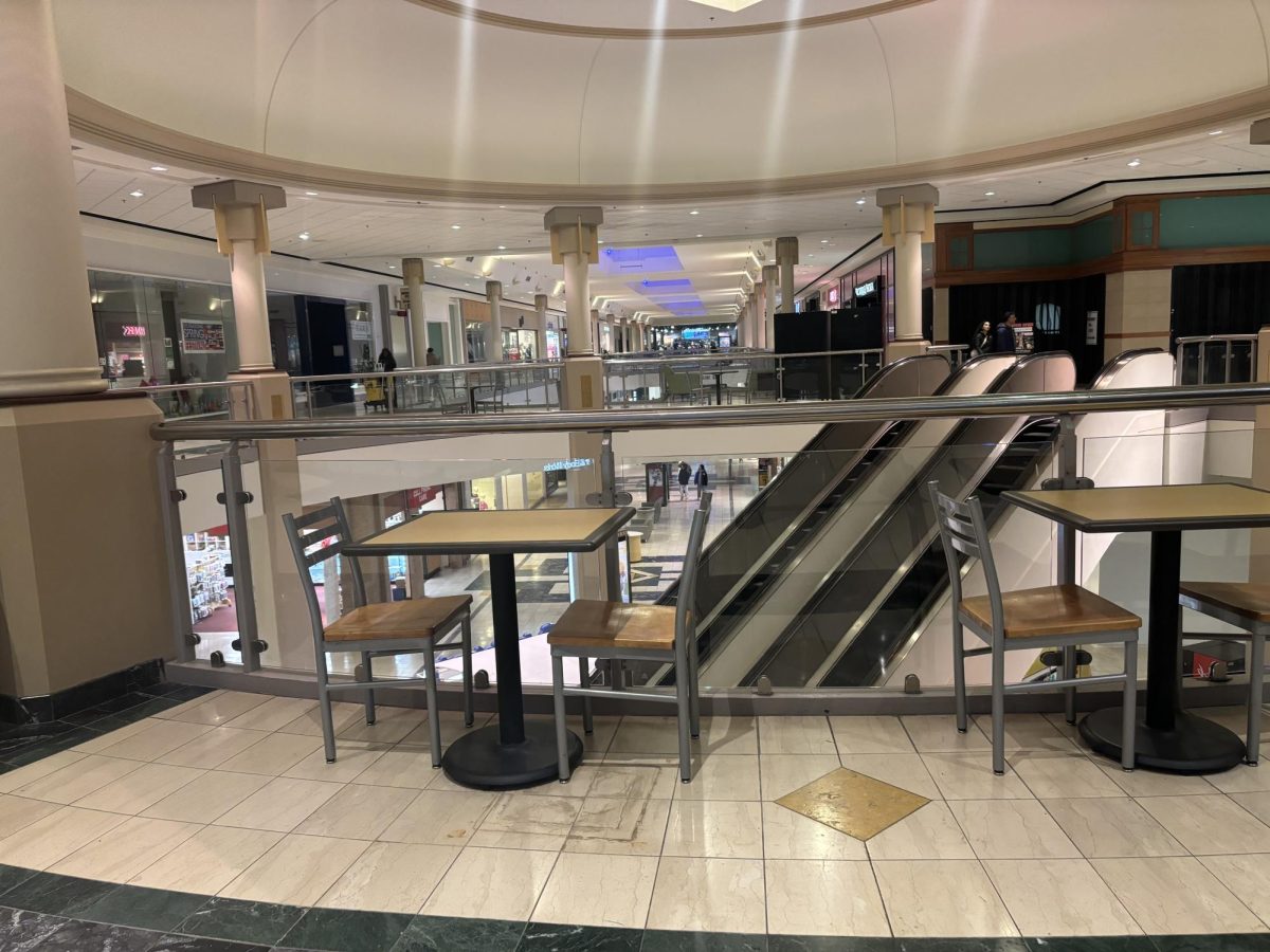 With abandoned stores and empty halls, the malls today are facing a decline that doesnt seem to be resolving anytime soon. 
