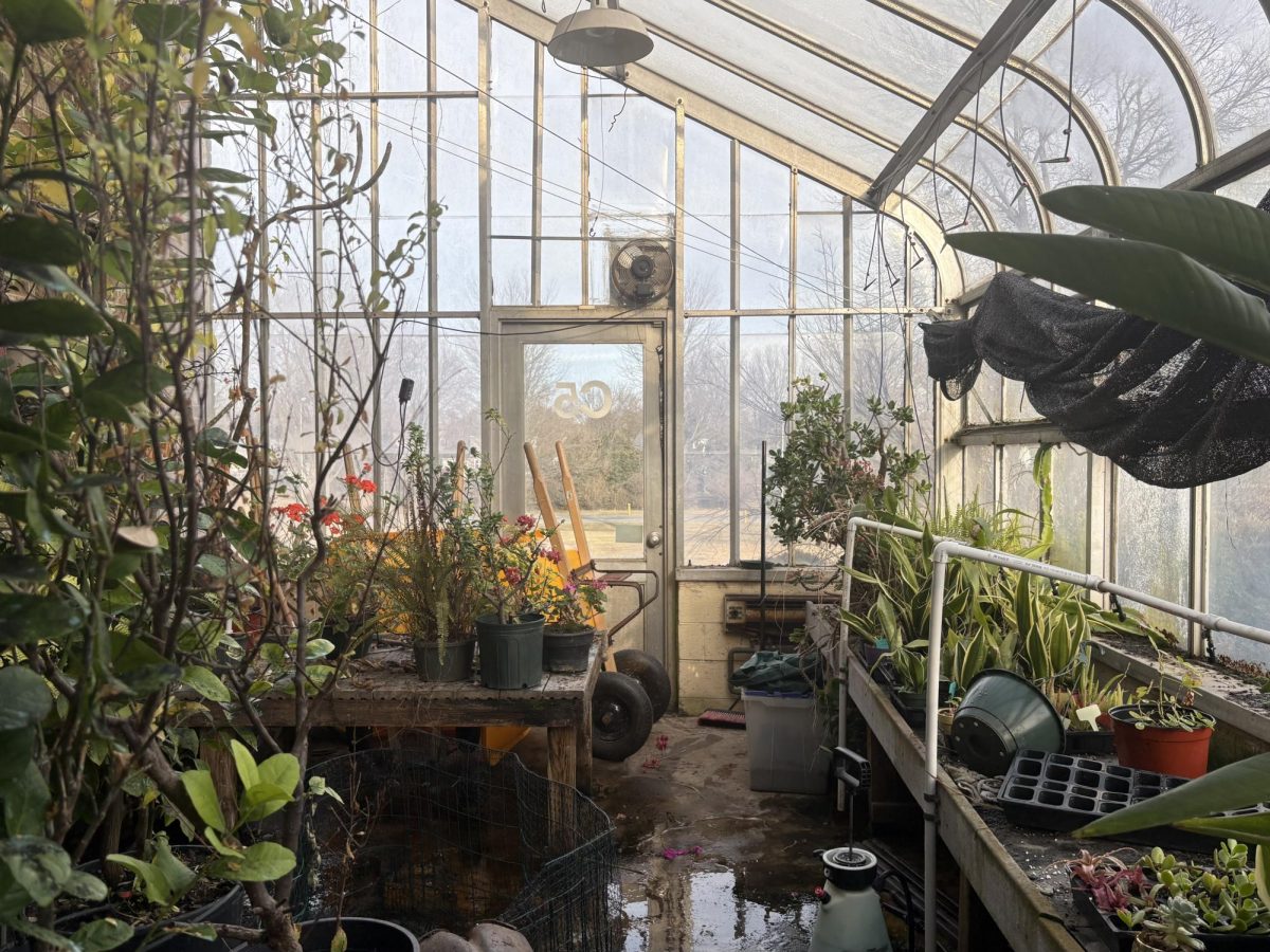 North Penn High School greenhouse serves as a unique learning environment for students.