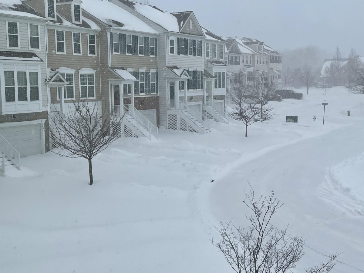 Avoiding boredom while snowed in can be tough for some, but Erin Malley has some tips to keep you entertained.