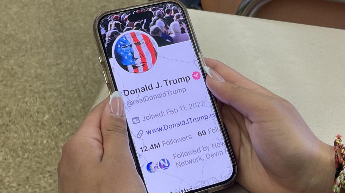 Social media in the hands of politicians