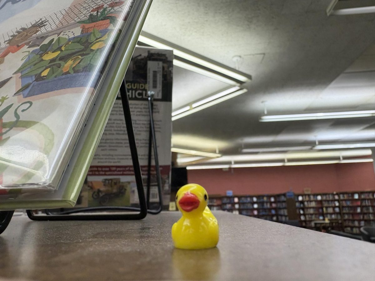 A quack in the fortress
